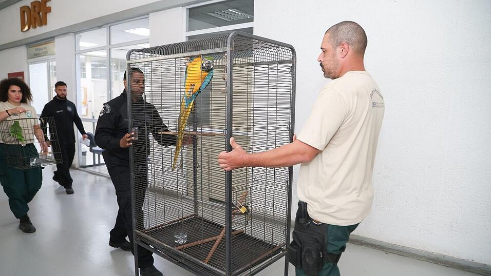 Laut Polizei bringt der Tierhandel der organisierten Kriminalität Millionen ein.