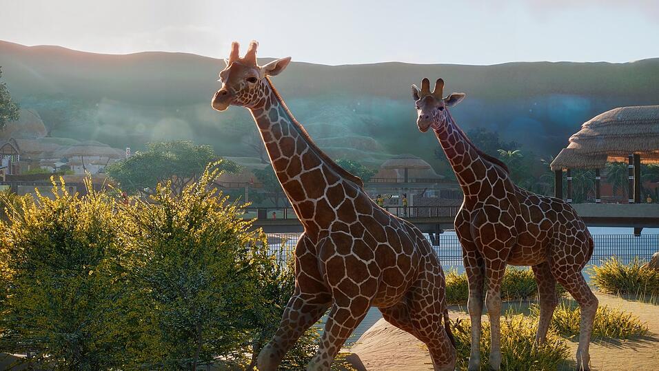 Sind die Tiere gut versorgt, zieht der Zoo in 'Planet Zoo' natürlich auch mehr Besucher an. Sind die Tiere gut versorgt, zieht der Zoo in 'Planet Zoo' natürlich auch mehr Besucher an.