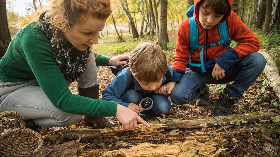 Die Natur ist ein guter Ort, um bewusst Freiräume für Kinder zu schaffen und die Sinne zu schärfen.