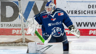 Zane McIntyre stand in den ersten beiden Partien für die Straubing Tigers zwischen den Pfosten.