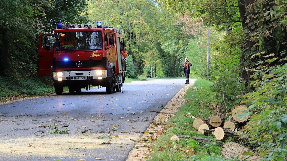 So wütete Sturmtief 'Fabienne' am Sonntag in der Oberpfalz. Zugausfälle, umgestürzte Bäume und sogar eine meterlange Kirchweihbaumspitze, die auf das Dach eines Festzeltes krachte. So wütete Sturmtief 'Fabienne' am Sonntag in der Oberpfalz. Zugausfälle, umgestürzte Bäume und sogar eine meterlange Kirchweihbaumspitze, die auf das Dach eines Festzeltes krachte.
