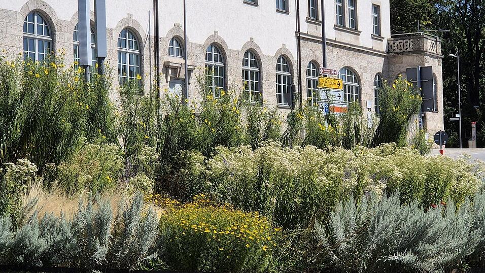 Wuchsfreudig und robust m&uuml;ssen die Stauden sein, um dauerhaft zu gedeihen.
