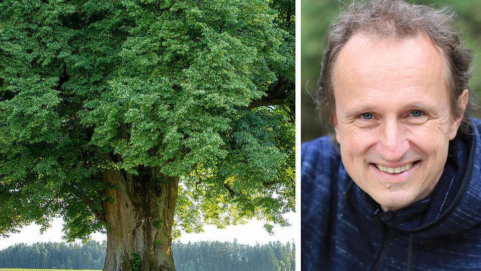 Biologielehrer J&uuml;rgen Schuller sagt selbst &uuml;ber sich:&nbsp;&bdquo;Ich habe einen fast schon missionarischen Eifer, die Leute f&uuml;r B&auml;ume zu begeistern.&ldquo;