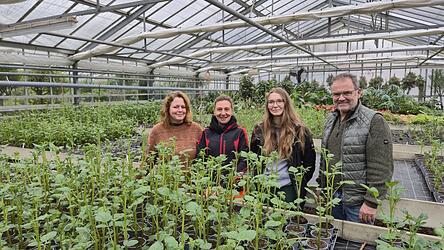 Das Kartoffel-Team der Stadtgärtnerei (v.l.): Serena Reiner, Martina Schmid, Daniela Schütz und Jörg Mildenberger. Sie kümmerten sich darum, dass die Knollen beste Wachstumsbedingungen vorfanden. Das Kartoffel-Team der Stadtgärtnerei (v.l.): Serena Reiner, Martina Schmid, Daniela Schütz und Jörg Mildenberger. Sie kümmerten sich darum, dass die Knollen beste Wachstumsbedingungen vorfanden.