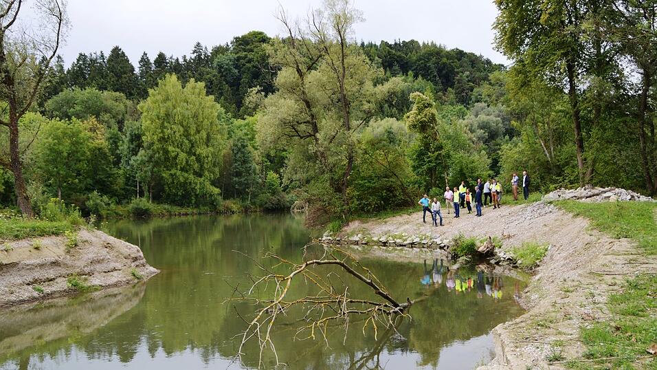 Auch am Eingang zum neuen Isar-Nebenarm wurde ein Raubaum angebracht, der Fischen Schutz vor Fressfeinden bietet.