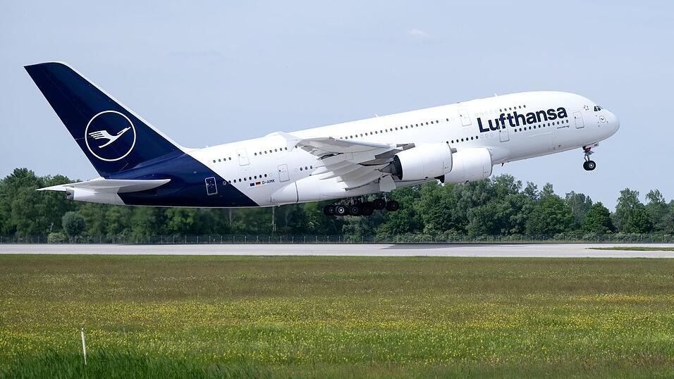 Auch zu Hause in einem Flugzeugsitz lümmen? Wer das möchte, kann bei einer Versteigerung mitmachen. (Symbolbild) Auch zu Hause in einem Flugzeugsitz lümmen? Wer das möchte, kann bei einer Versteigerung mitmachen. (Symbolbild)