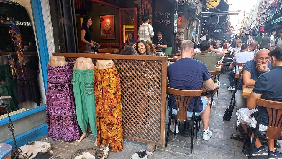Man trifft sie wirklich überall an: Katzen in Istanbul.