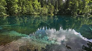 Eine Ente schwimmt auf dem glasklaren Wasser des Christlesees. Der See, der von unterirdischen Quellen gespeist wird hat eine konstante Temperatur von vier bis sechs Grad und friert auch im Winter nicht zu. In diesem Corona-Sommer stürmen Erholungssuchende mehr denn je Bayerns Alpenidylle.