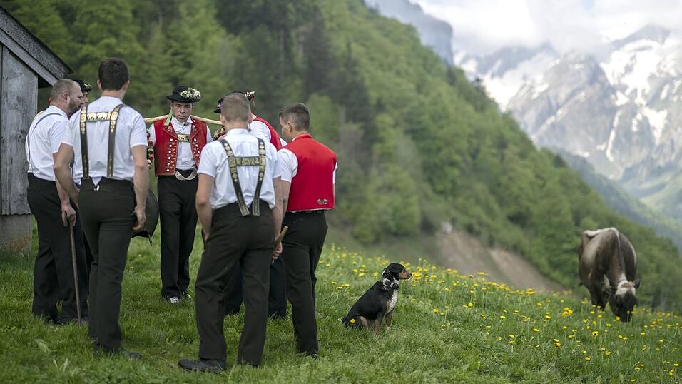 Das Schweizer jodeln sei einzigartig - sagen die Schweizer. (Symbolbild) Das Schweizer jodeln sei einzigartig - sagen die Schweizer. (Symbolbild)