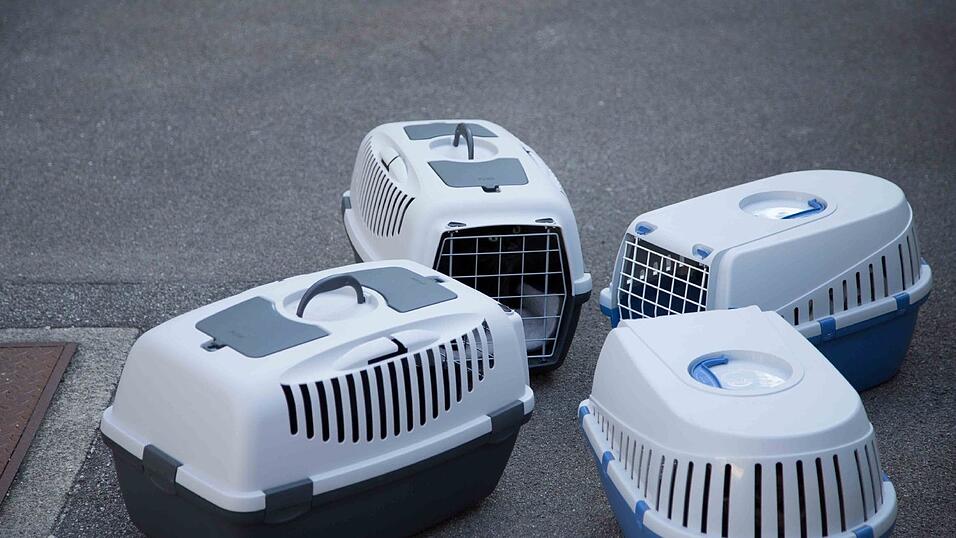 Am Montag musste die Feuerwehr gleich zweimal zu einem Brand in der Hagrainerstraße aufbrechen. Am Montag musste die Feuerwehr gleich zweimal zu einem Brand in der Hagrainerstraße aufbrechen.