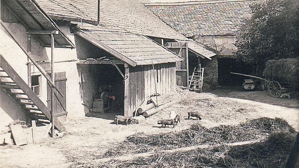 Wo liegt dieser Bauernhof? Das fragt sich Hans Neueder aus Bogen und hofft auf Hinweise.