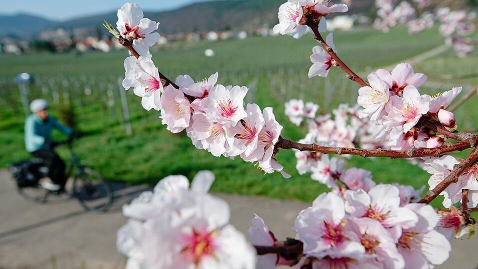 Im M&auml;rz lockte das Wetter bereits zu vielen Aktivit&auml;ten ins Freie. (Archivbild)
