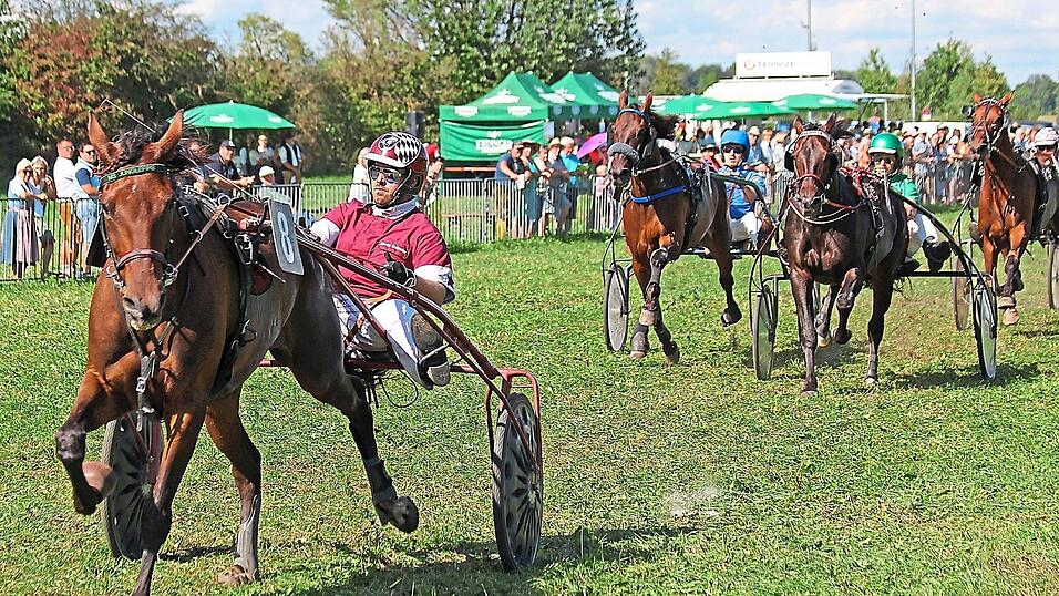 Martin Geineder mit MS Junglefire siegte vor Offroader mit Alois Ortner. Der Beste am Samstag beim Erdinger Renntag war Martin Geineder vom Trabrennstall Arndorf (links), der sich gegen die starke Konkurrenz durchsetzte. Martin Geineder mit MS Junglefire siegte vor Offroader mit Alois Ortner. Der Beste am Samstag beim Erdinger Renntag war Martin Geineder vom Trabrennstall Arndorf (links), der sich gegen die starke Konkurrenz durchsetzte.