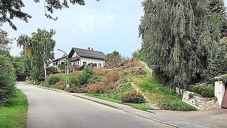 Das Grundstück an der Rombachstraße, auf dem das Mehrfamilienhaus entstehen soll. Jüngst wurde dort der üppige Bewuchs gerodet.