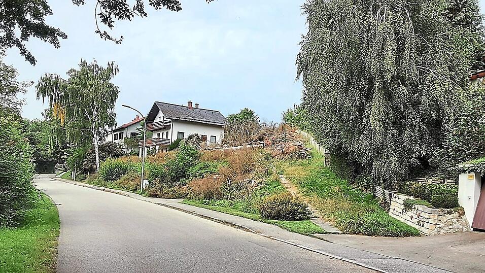 Das Grundstück an der Rombachstraße, auf dem das Mehrfamilienhaus entstehen soll. Jüngst wurde dort der üppige Bewuchs gerodet.