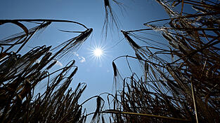 Tags&uuml;ber bekommen es die Menschen in Ostbayern heute mit extremer Hitze zu tun &ndash; abends k&ouml;nnen dann schwere Unwetter auftreten. (Symbolbild)