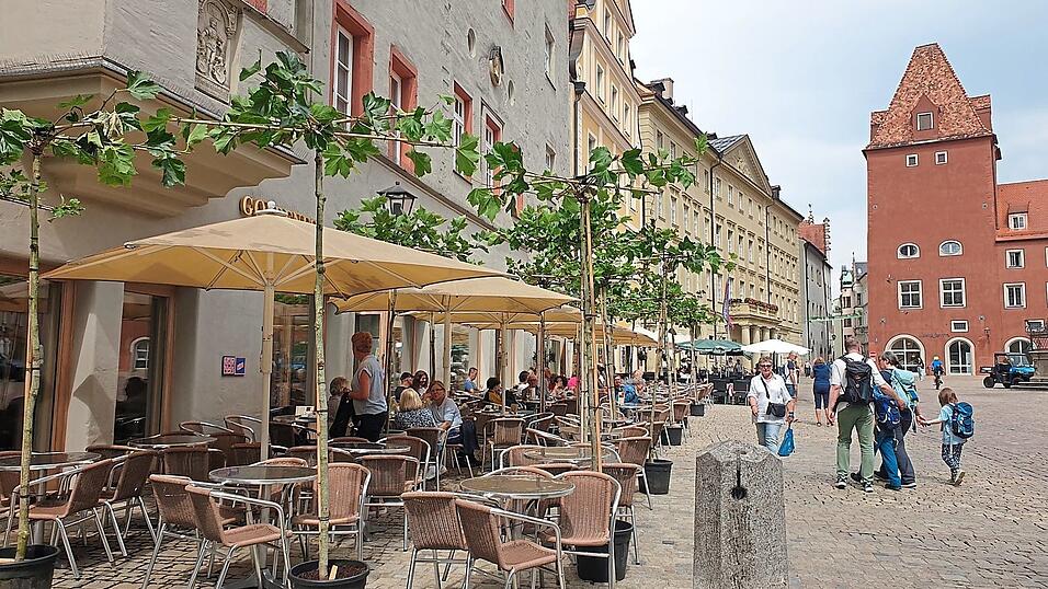 Noch sind die Platanen in T&ouml;pfen vor dem Caf&eacute; Goldenes Kreuz jung. In ein paar Jahren sollen &Auml;ste und Bl&auml;tterwerk so dicht sein, dass die B&auml;ume ausreichend Schatten spenden und die Sonnenschirme &uuml;berfl&uuml;ssig werden.