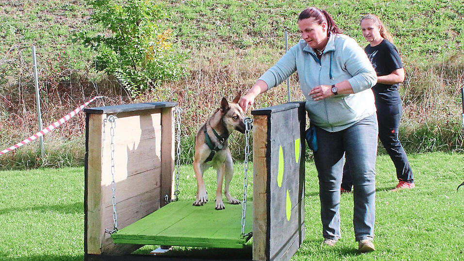 Mutig über die Wackelbrücke. Mutig über die Wackelbrücke.