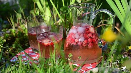 Für diese Bowle wurden Wald- und Gartenerdbeeren verwendet.