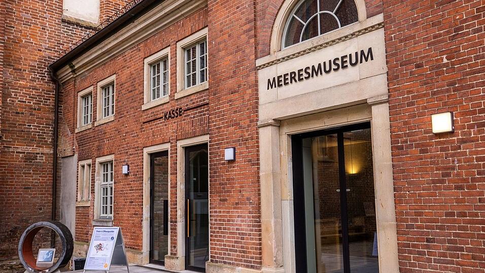 Rund vier Monate nach der Bergung des vor der Ostseeküste geborgenen Buckelwals «Timmy» sieht sich das Deutsche Meeresmuseum in Stralsund immer noch Anfeindungen ausgesetzt. (Archivbild) Rund vier Monate nach der Bergung des vor der Ostseeküste geborgenen Buckelwals «Timmy» sieht sich das Deutsche Meeresmuseum in Stralsund immer noch Anfeindungen ausgesetzt. (Archivbild)