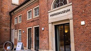 Rund vier Monate nach der Bergung des vor der Ostseeküste geborgenen Buckelwals «Timmy» sieht sich das Deutsche Meeresmuseum in Stralsund immer noch Anfeindungen ausgesetzt. (Archivbild) Rund vier Monate nach der Bergung des vor der Ostseeküste geborgenen Buckelwals «Timmy» sieht sich das Deutsche Meeresmuseum in Stralsund immer noch Anfeindungen ausgesetzt. (Archivbild)
