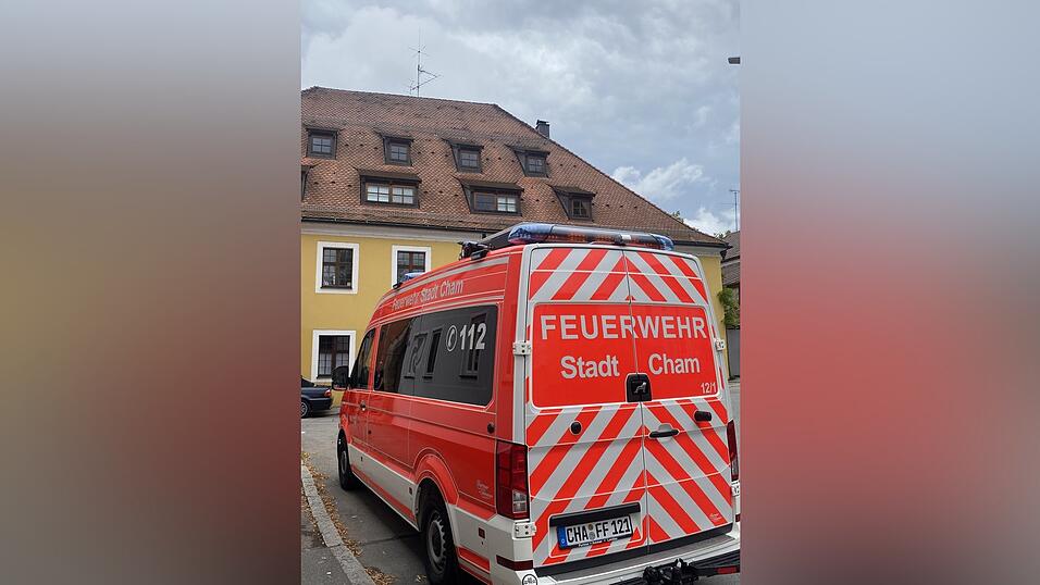 Die Chamer Feuerwehr, die Bergwacht, die Polizei und Sanit&auml;ter r&uuml;ckten zu dem Einsatz an.&nbsp;