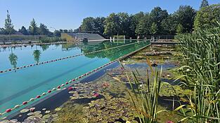 Im Mettener Naturbad kann man den Sommer heuer wieder in vollen Zügen genießen. Im Mettener Naturbad kann man den Sommer heuer wieder in vollen Zügen genießen.