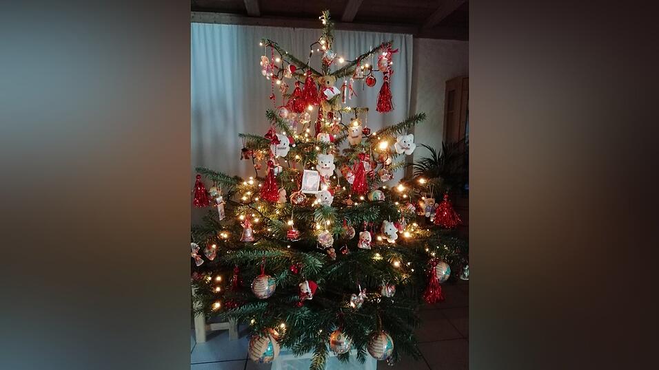 'Wir haben nur diesen Schmuck und den seit 1988. Jedes Jahr ist der geschm&uuml;ckte Baum ein Hingucker bei unseren Kinder, Enkelkinder und Freunden!'