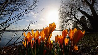 In der nächsten Woche wird es wieder wärmer und sonniger. In der nächsten Woche wird es wieder wärmer und sonniger.