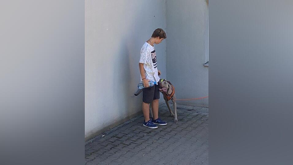 Mantrailer Lilli findet Lukas