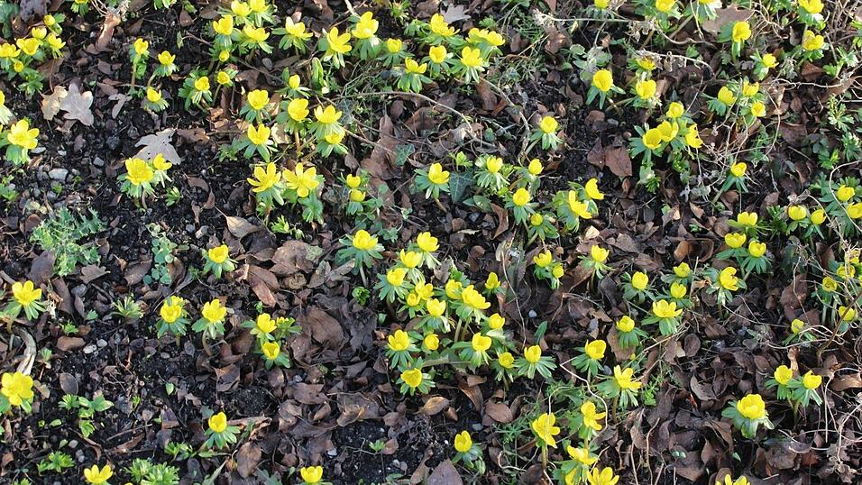 Bei Sonnenschein macht ein Stadtspaziergang gleich noch viel mehr Spaß. Bei Sonnenschein macht ein Stadtspaziergang gleich noch viel mehr Spaß.