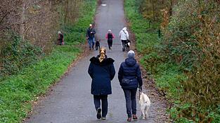 Zum Wochenstart wird es in vielen Regionen Deutschlands heiter bis wolkig.