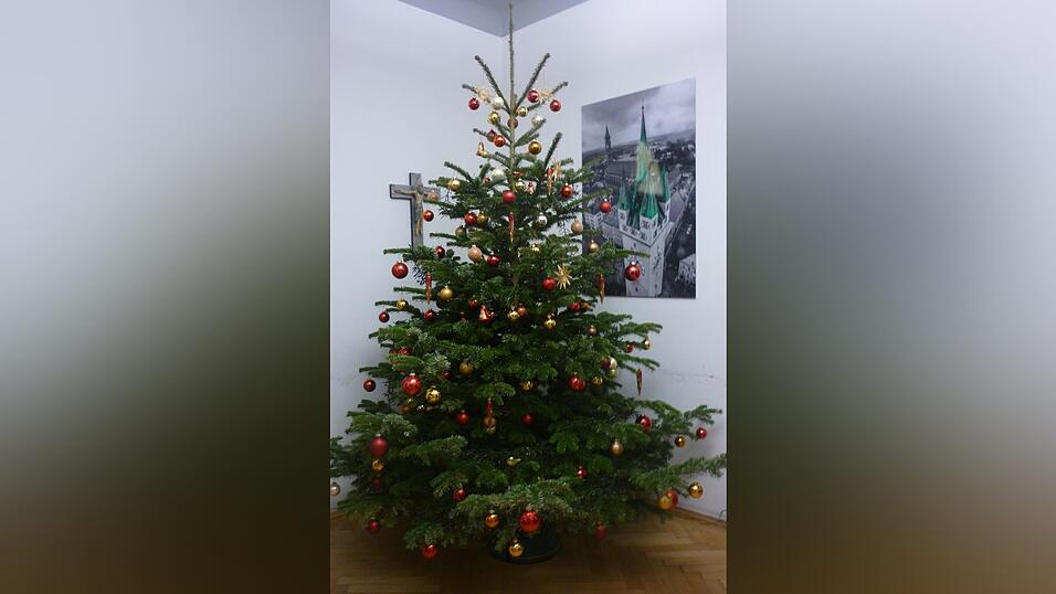 Wann muss der Christbaum weichen?