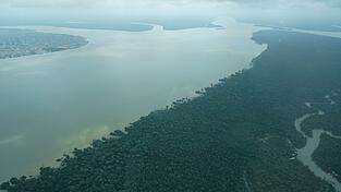 Durch den an die Millionenstadt Belém grenzenden Wald fließt der Fluss Guama. Durch den an die Millionenstadt Belém grenzenden Wald fließt der Fluss Guama.
