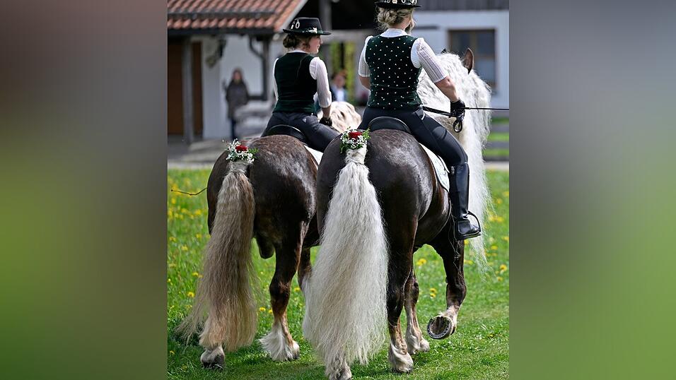 Auch hinten herausgeputzt - die Pferde beim Georgiritt. (Archivbild) Auch hinten herausgeputzt - die Pferde beim Georgiritt. (Archivbild)