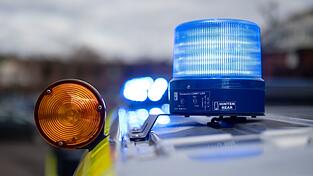 Wegen des ausgebüxten Kängurus war auch die Polizei im Einsatz. (Symbolbild) Wegen des ausgebüxten Kängurus war auch die Polizei im Einsatz. (Symbolbild)