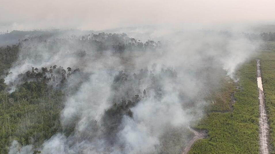 Auf Borneo wüten seit Wochen schwere Waldbrände. Auf Borneo wüten seit Wochen schwere Waldbrände.
