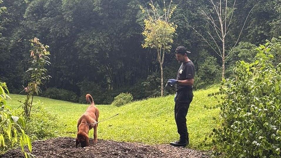 Die Ermittler entdeckten die Leichen mit Hilfe eines Spürhunds. (Archivbild)