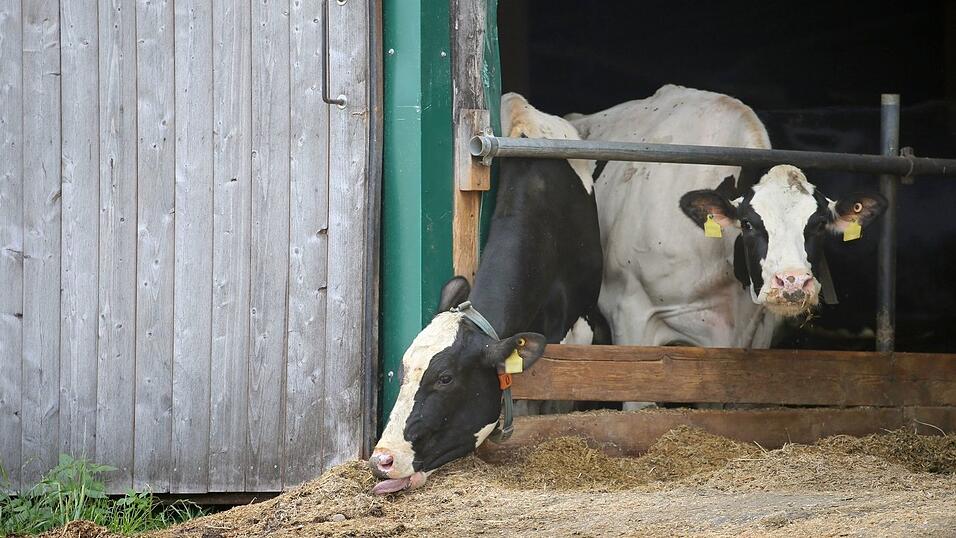Immer wieder kommt es in Bayern zu Tierschutzskandalen. Dies hat im Laufe der Zeit zu wachsenden Zweifeln am bayerischen Kontrollsystem geführt. (Illustration)