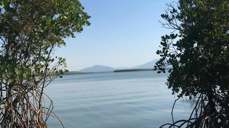 Blick von der Insel Worthington Island aufs Wasser.