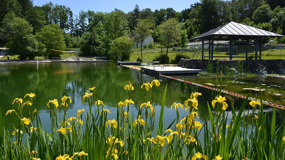 Das idyllisch gelegene Waldbad könnte im nächsten Sommer das Ziel eines Kleinbusses sein, der die Kinder und Jugendlichen von Au nach Nandlstadt bringt. Dem Marktrat von Au ist es einen Versuch wert.