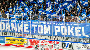 So ganz unkommentiert wollten die Fans der Straubing Tigers die Trennung von Tom Pokel offenbar nicht lassen: Banner beim Heimspiel am Freitagabend gegen die Kölner Haie.
