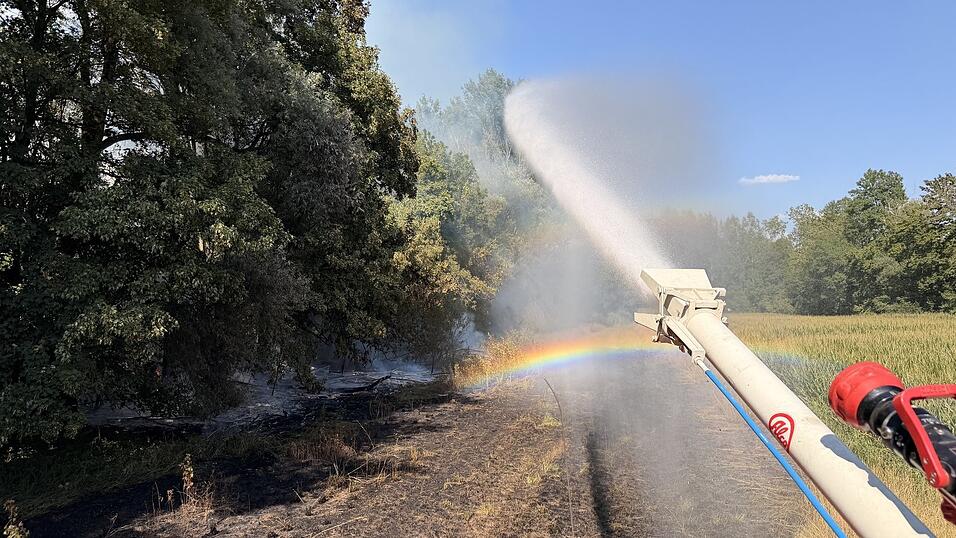 Die Feuerwehren aus Altheim und Ergolding löschten den Brand in den Isarauen. Die Feuerwehren aus Altheim und Ergolding löschten den Brand in den Isarauen.