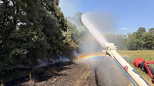 Die Feuerwehren aus Altheim und Ergolding löschten den Brand in den Isarauen. Die Feuerwehren aus Altheim und Ergolding löschten den Brand in den Isarauen.