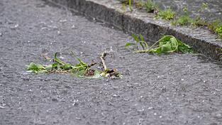 In Bayreuth rückten die Einsatzkräfte wegen des Unwetters mehrfach aus. (Symbolbild) In Bayreuth rückten die Einsatzkräfte wegen des Unwetters mehrfach aus. (Symbolbild)