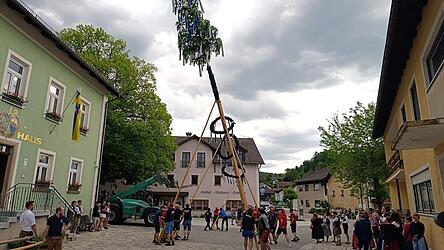 Die Akteure beim Aufstellen des Kirtabaums Die Akteure beim Aufstellen des Kirtabaums