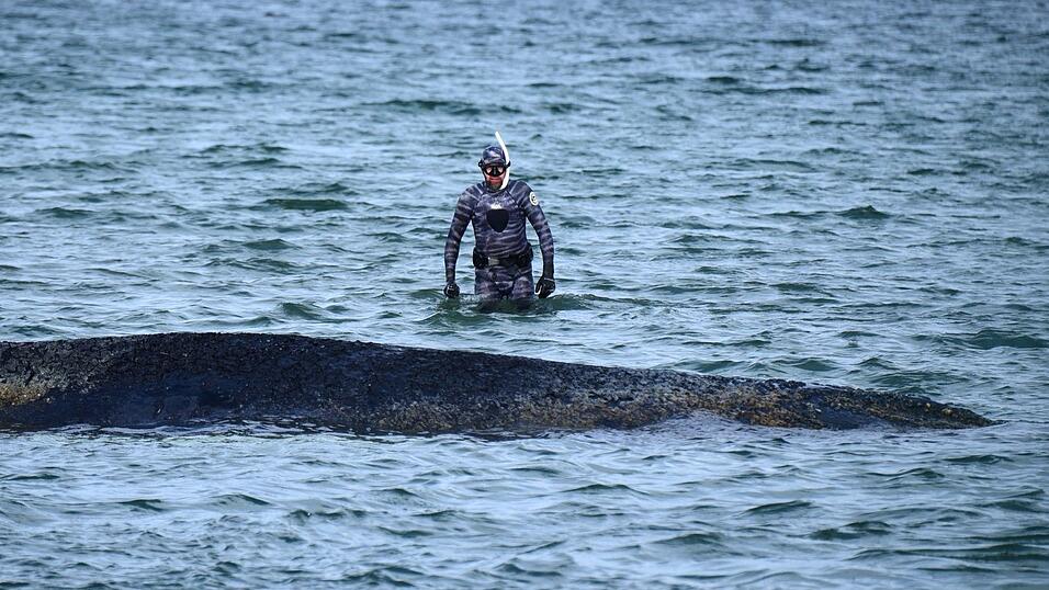 Bei der Rettungsaktion vor Timmendorfer Strand hat Lehmann unterstützt. (Archivbild) Bei der Rettungsaktion vor Timmendorfer Strand hat Lehmann unterstützt. (Archivbild)
