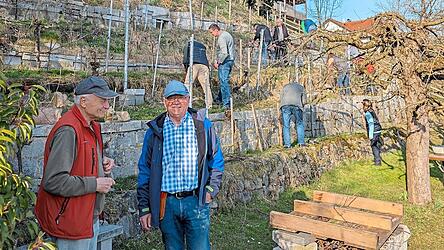 Im Weinberg bei Bruckberg wurde der Rebschnitt ge&uuml;bt.