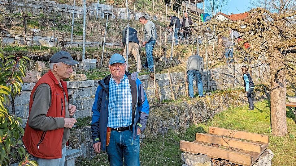 Im Weinberg bei Bruckberg wurde der Rebschnitt ge&uuml;bt.