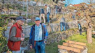 Im Weinberg bei Bruckberg wurde der Rebschnitt ge&uuml;bt.